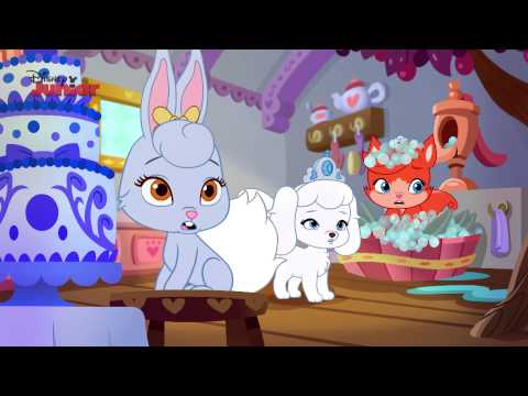 Whisker Haven Tales - A Dreamy-ful Birthday - Official Disney Junior UK HD