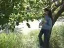 126 Tubarc - Picking Berries