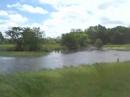 flooded creek 2