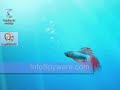 Instalar Xp en un pc con Windows 7