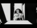 Bleach Alternative Opening Blue Bird