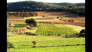 قرية دير نخاس...النار والعنقاء| أ. عماد القدومي