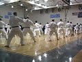 Traditional Karate Masters Series 2