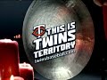 Minnesota Twins Sages - Delmon Young