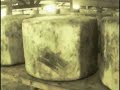 Cheddarvision.tv : time-lapse 0-3 months Cheddarvision.tv : time-lapse 0-3 months