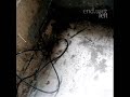 End.user-Perfection/Stillness