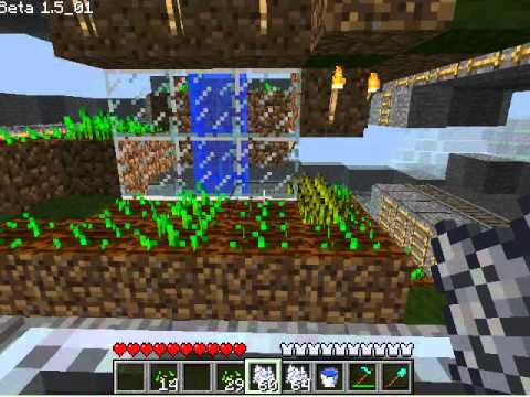 how to fertilize wheat