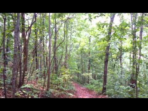 241 acres Ashland, AL