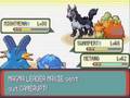 Filipe & Steven vs Magma Admin Tabitha & Magma Leader Maxie