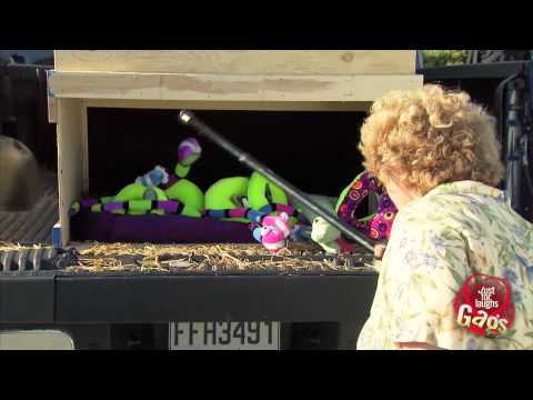 Real Fake Snake Prank