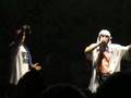 Kool Savas eko diss acapella