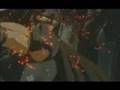 videos de berserk- freedom fighter