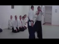 Aikido,Michael Moreno Sensei,AAF