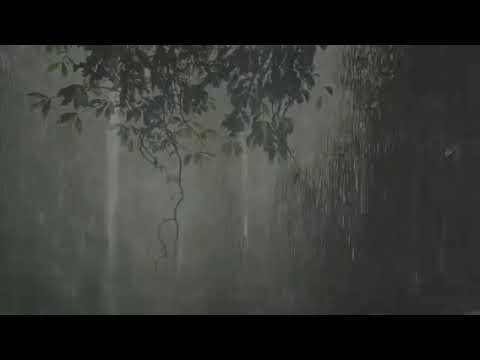 last reunion +lluvia