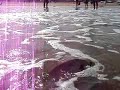 RAUL DORADA  PESCA SURFCASTING ORATA , PLAYA