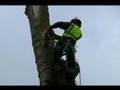 Tree Work - Crane - Altrincham - England