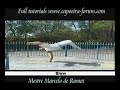 capoeira tutorials chapeu de couro brazilian fight break