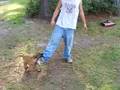 videos de Gonda X Edoc pup2 #1