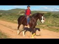 Carreras de caballos en La Gavia (Jerez, Zacatecas)