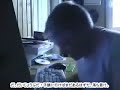 これは母親に破廉恥ファイル全て消された少年の末路です。