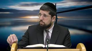 הרב אליהו עמר – פרשת עקב