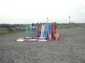 troy jumping 1.40m FOR LOAN