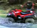 Quad dienne 2