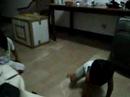 Bindoy Busta move