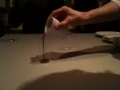 Dessert at Alinea