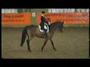 Dressage S Level 70% Dressage S Level 70%