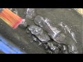 View Video