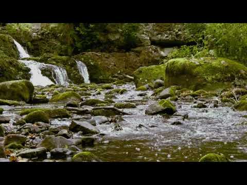Nature's Relaxing Music