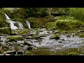 Relaxing Nature Scenes - Nature's Relaxing Music