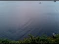 Skerwinck Trail Newfoundland and Whale