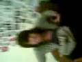 videos de nincia cycki kocie ruchy