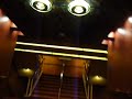 Onboard Ms Amsterdam Holland-America Line