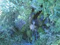 TUNCEL? ME?EYOLU K�Y� ( KORTU - K�RTAN ) BELGESEL? **YEN?**