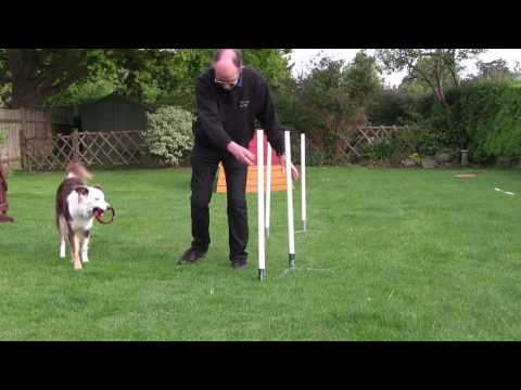 3rd Session of 2x2 (Day 2)