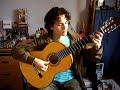 Super Mario Land on Acoustic Guitar Super Mario Land on Acoustic Guitar