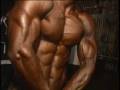 2008 IFBB CAC Bodybuilding Backstage DVD 2