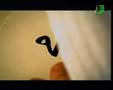 A is for Allah by Zain Bikha