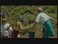 Canarias-La Palma.Valle de Aridane - La Caldera De Taburiente - 3º