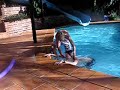 Alec Drowning On Pool Step With Life Guard Aedan Alec Drowning On Pool Step With Life Guard Aedan
