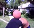 bball. schyster
