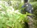 janda baik12/12/09