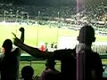 Curva Fiesole - Sei uno Zingaro