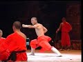 Shaolin Kungfu Demo 1 Iron Crotch& Spears Supporting Body