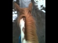 Haze Conquers His Fear - YouTube