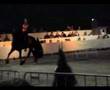 Andries 415