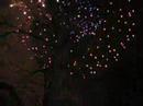 New Year\